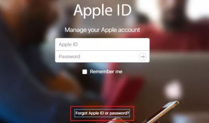 click forgot apple id or password